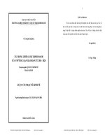 Xây dựng chiến lược kinh doanh của VNPT Bắc Kạn giai đoạn từ 20102020