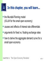 The MundellFleming model ( Mô hình Mundel  Fleming)