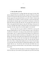LUẬN án TIẾN sĩ   tổ CHỨC QUẢN lý DOANH NGHIỆP NHÀ nước TRONG nền KINH tế THỊ TRƯỜNG ở CỘNG hòa dân CHỦ NHÂN dân lào