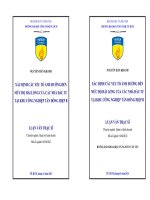 Xác định các yếu tố ảnh hưởng đến mức độ hài lòng của các nhà đầu tư tại khu công nghiệp Tân Đông Hiệp B