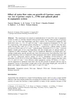 tac dong cua dong chay den su tang truong cua ca Koi va rau bo xoi trong he thong aquaponic