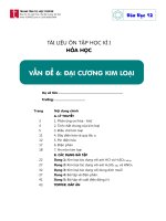 O c 12 06  dai cuong kim loai 