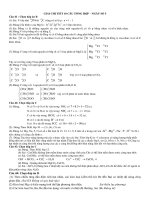 10 CAU LTTH   NGAY SO 5 