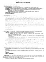 bai soan PHÂN LOẠI ENZYME