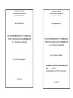 Xây dựng mô hình công ty cấu trúc mạng phục vụ hoạt động sản xuất kinh doanh của tổng công ty Sông Đà