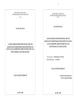 VẬN DỤNG PHƯƠNG PHÁP PHÂN TÍCH ĐA TIÊU CHÍ ĐÁNH GIÁ MỨC ĐỘ ĐÔ THỊ HOÁ NHẰM GÓP PHẦN XÂY DỰNG CÁC QUAN ĐIỂM PHÁT TRIỂN ĐÔ THỊ Ở VIỆT NAM ĐẾN NĂM 2020, LẤY HÀ NỘI LÀM VÍ DỤ