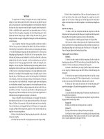 Ứng dụng mô hình toán học mô phỏng chất lượng nước sông Đáy