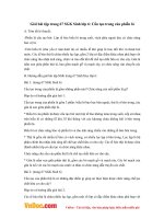 Giải bài tập trang 67 SGK Sinh lớp 6: Cấu tạo trong của phiến lá