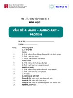 O c 12 04 amin aminoaxit protein