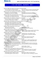 2016 PROS thionline cauchudongbidong de3 