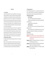 Tỷ giá hối đoái và cán cân thương mại của Việt Nam