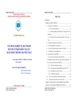 Vận dụng nghiệp vụ bao thanh toán xuất nhập khẩu tại các ngân hàng thương mại Việt Nam