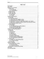 Giao thức đấu giá an toàn và mô phỏng