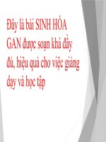 hóa sinh gan ( BỘ MÔN HÓA SINH )