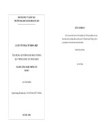 ỨNG DỤNG LẬP TRÌNH LINH HOẠT TRONG QUY TRÌNH CỘNG TÁC PHẦN MỀM