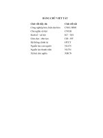 LUẬN văn THẠC sĩ   PHÁT HUY NGUỒN lực THANH NIÊN TỈNH bắc NINH TRONG THỜI kỳ đẩy MẠNH CÔNG NGHIỆP hóa, HIỆN đại hóa