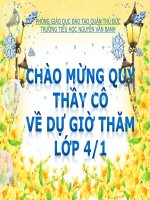 Tìm hai số khi biết tổng và tỉ lớp 4