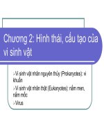 Chuong II Hình thái cấu tạo của vi sinh vật