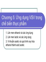 Chuong V Ứng dụng vi sinh vật trong chế biến thực phẩm