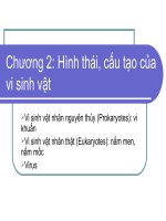 Chuong II Hình thái cấu tạo của vi sinh vật