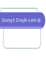 Chuong VI Di truyền vi sinh vật