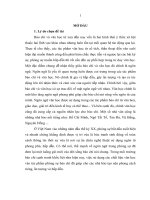 Sử dụng thành ngữ, tục ngữ trong phóng sự truyền hình