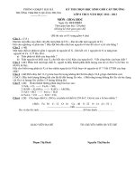 DE THI HSG HOA 8 CAP TRUONG