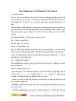 Giải bài tập trang 64 SGK Sinh lớp 9: Đột biến gen