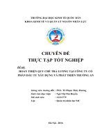 Hoàn thiện quy chế trả lương tại Công ty Cổ phần đầu tư xây dựng và phát triển Trường An