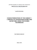 Nghiên cứu xác định hệ phosphoprotein và hệ protein tiết của tế bào lympho t người bằng các kỹ thuật proteomic 