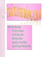 Quy trình sản xuất trà xanh đóng chai