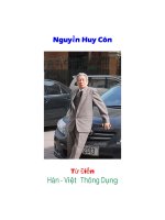 Từ điển Hán Việt hiện đại