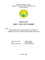Hoàn thiện kế toán bán hàng và xác định kết quả bán hàng tại Công ty TNHH Sản xuất và Thương mại Potek Việt Nam