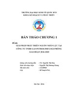 Giải pháp phát triển nguồn nhân lực tại công ty TNHH Gas Petrolimex Hải Phòng giai đoạn 20162020