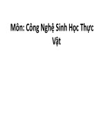 nhân giống cây trồng qua nuôi cấy phát sinh phôi soma 1