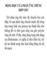 ĐỘNG học của PHẢN ỨNG TRÙNG hợp gốc polime