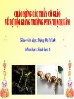 Bai 33 hat va cac bo phan cua hat