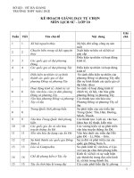 KẾ HOẠCH GIẢNG DẠY TỰ CHỌNMÔN LỊCH SỬ - LỚP 10