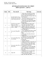 kế hoạch giảng dạy tự chọn  lịch sử 12 