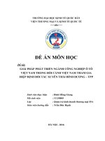 Giải pháp phát triển ngành công nghiệp ô tô Việt Nam trong bối cảnh Việt Nam tham gia Hiệp định đối tác xuyên Thái Bình Dương  TPP