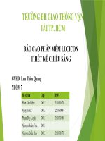 Bài thuyết trình nhóm báo cáo phần mềm lucicon thiết kế chiếu sáng