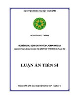 Nghiên cứu bệnh do phytoplasma hại sắn (Manihot esculenta Crantz) tại một số tỉnh Đông Nam Bộ