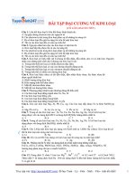 bttn tong hop dai cuong ve kim loai co loi giai chi tiet 