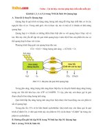 Giải bài tập trang 70 SGK Sinh học lớp 10: Quang hợp