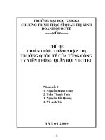 Chiến lược xâm nhập thị trường quốc tế của Công ty Viettel