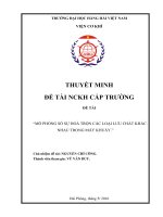 MÔ PHỎNG SỐ SỰ HOÀ TRỘN CÁC LOẠI LƯU CHẤT KHÁC NHAU TRONG MÁY KHUẤY