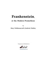 Frankenstein by Mary Wollstonecraft Shelley