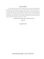 Tiểu luận QT THCV phân tích thực trạng DGTHCV của BIDV.