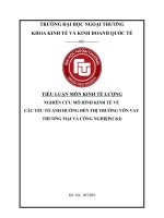 Tiểu luận kinh tế lượng