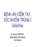 BỆNH án VIÊM TAY, sốc NHIỄM TRÙNG 1 